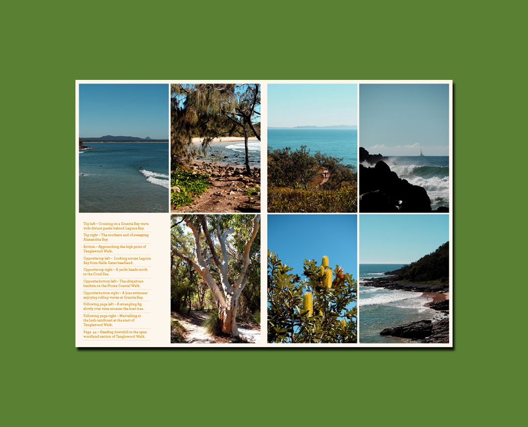 Print + Digital Subscriptions - Image 5