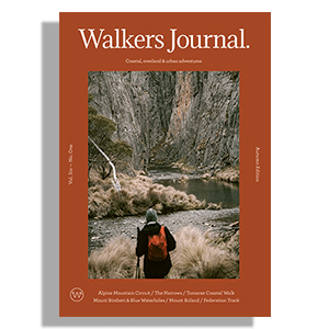 Issue 21 (Vol. Six – No. One)